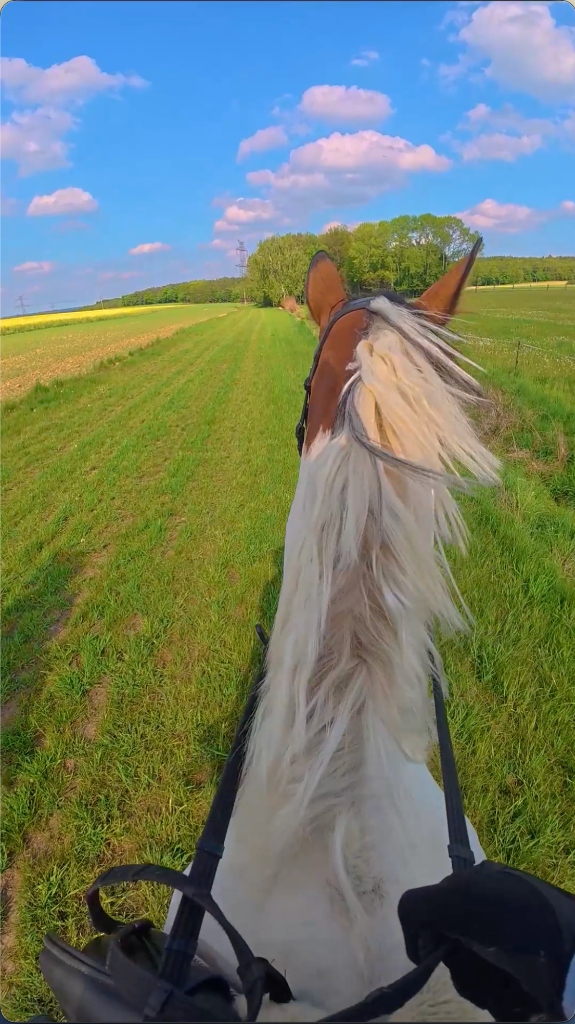 HORSE RIDING I